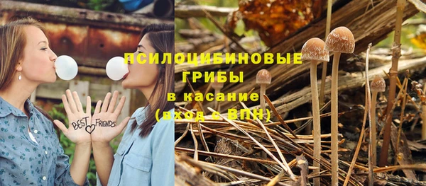 бутират Белокуриха